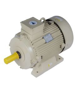 7.5HP - 20HP Three Phase 4 Pole Foot Mounting Induction Motor Speedwel