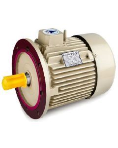 3HP - 20HP Three Phase 4 Pole Flange Mounting Induction Motor Speedwel