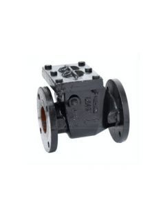 Cast Iron Reflux Valve Flanged Ends As Per IS-531 2 PN-1.0 AV-119 ATAM