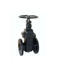 Cast Iron Sluice Valve Flanged Ends, Non Rising Steams Per IS- 1484, PN-1.0 AV-117 ATAM