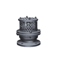 CS Foot Valve Flanged End Prime