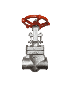Forged Steel Gate Valve
