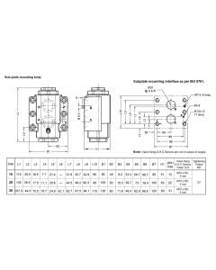 Polyhydron Pilot Operated Check Valve-CI10S