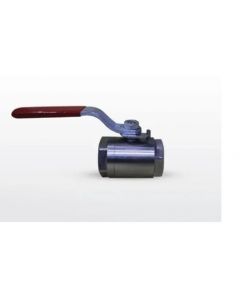 3/4" SS Ball Valve - Vagheshree